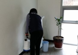 유엔군초전기념관 소독2