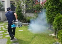 연무소독입니다.