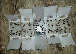 거래처 신규로계약하고 이틀뒤에